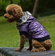 Load image into Gallery viewer, Cross-border Pet Jacket