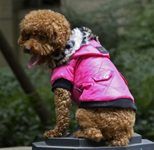 Load image into Gallery viewer, Cross-border Pet Jacket